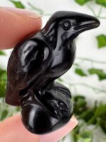 Obsidian Rabe