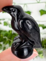 Obsidian Rabe – Bild 2