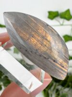 Labradorit Cabochon Nr. 13l