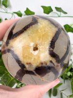 Septarie Kugel Nr. 52s