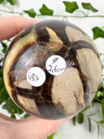 Septarie Kugel Nr. 48s – Bild 2