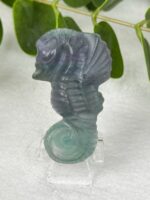 Fluorit Seepferdchen Nr. 20s1
