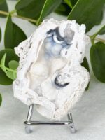 Achatisierte Korallenhälfte Nr. 65k2