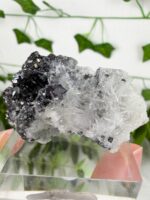 Highquality Sphalerit mit Galenit und Bergkristall Nr. 38bg