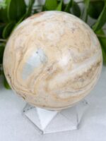Jaspis Kugel Nr. 59ja – Bild 3