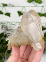 Himalaya Quarz Cluster Nr. 101h
