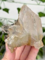Himalaya Quarz Cluster Nr. 101h – Bild 2
