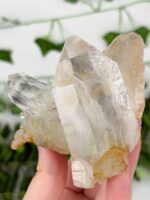 Himalaya Quarz Cluster Nr. 101h – Bild 3