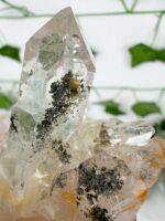 Himalaya Quarz Cluster Nr. 101h – Bild 6