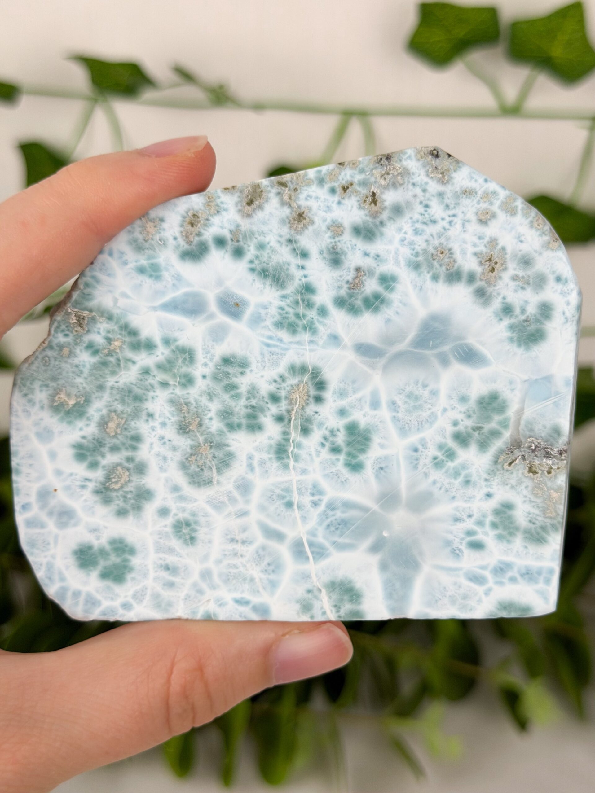 img_2682 Larimar Scheibe / Platte Nr. 250l – Bild 1
