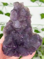 Fluorit Cluster Nr. 99f