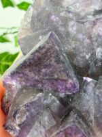 Fluorit Cluster Nr. 99f – Bild 2