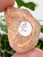 Rhodochrosit Nr. 31r – Bild 2