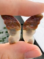 Ozeanjaspis Schmetterling (oldstock) Nr. 88st – Bild 2