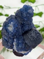 „Blaubeer“ Fluorit auf Candlequarz – Bild 2