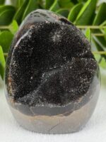 Septarie Freiform Nr. 33sf