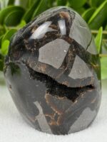 Septarie Freiform Nr. 33sf – Bild 2