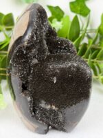 Septarie Freiform mit kleinem Calcit Nr. 93s