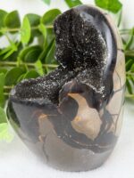 Septarie Freiform mit kleinem Calcit Nr. 93s – Bild 3
