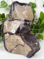 Septarie Freiform mit Calcit Nr. 77s – Bild 3