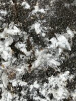 Septarie Freiform mit Calcit Nr. 77s – Bild 4